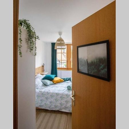 Charming Apartment Basel Border - 3 Bedrooms Hegenheim Eksteriør billede