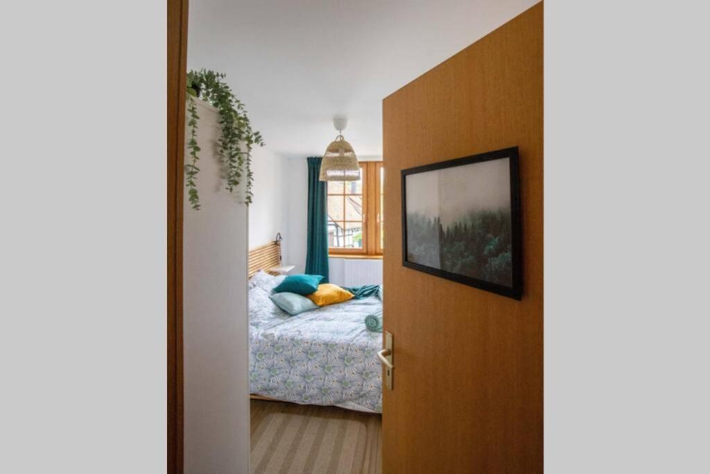 Charming Apartment Basel Border - 3 Bedrooms Hegenheim Eksteriør billede