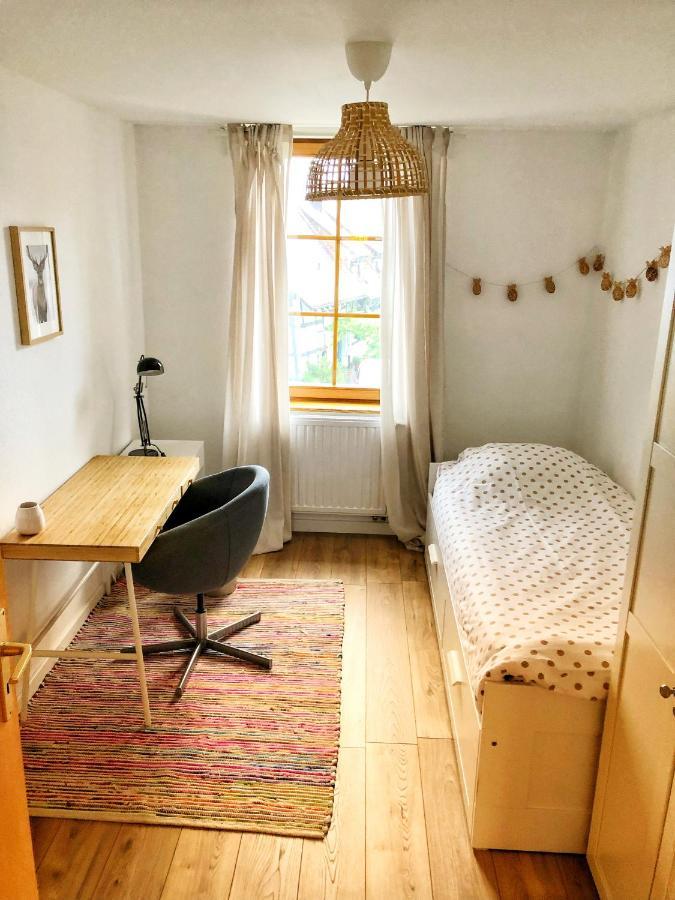 Charming Apartment Basel Border - 3 Bedrooms Hegenheim Eksteriør billede