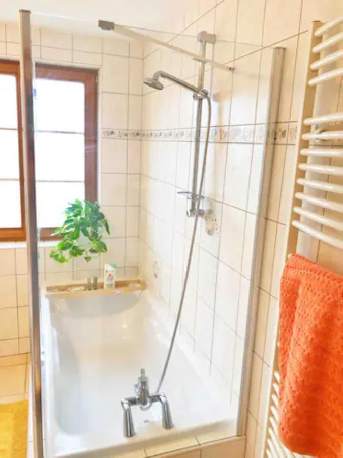 Charming Apartment Basel Border - 3 Bedrooms Hegenheim Eksteriør billede